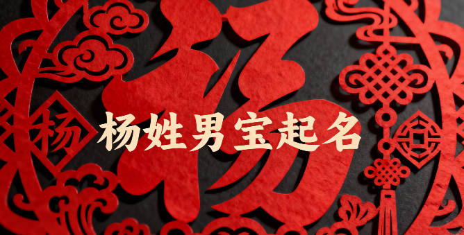 楊姓男寶寶起名經典大氣